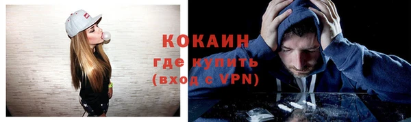 твердый Михайловка