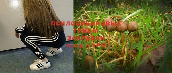 экстази Михайлов