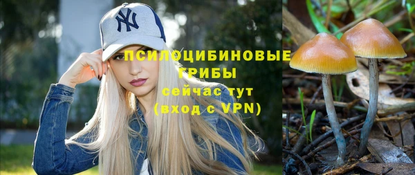 кокс Михайловск