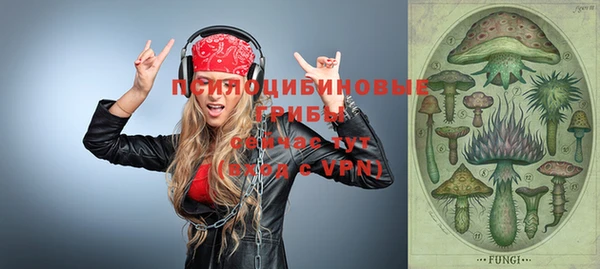 экстази Михайлов