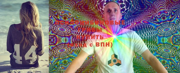 экстази Михайлов